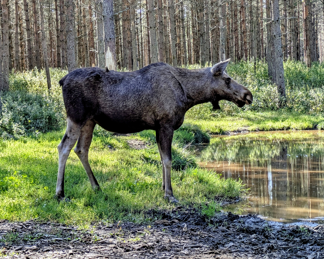 Préparer l'environnement
