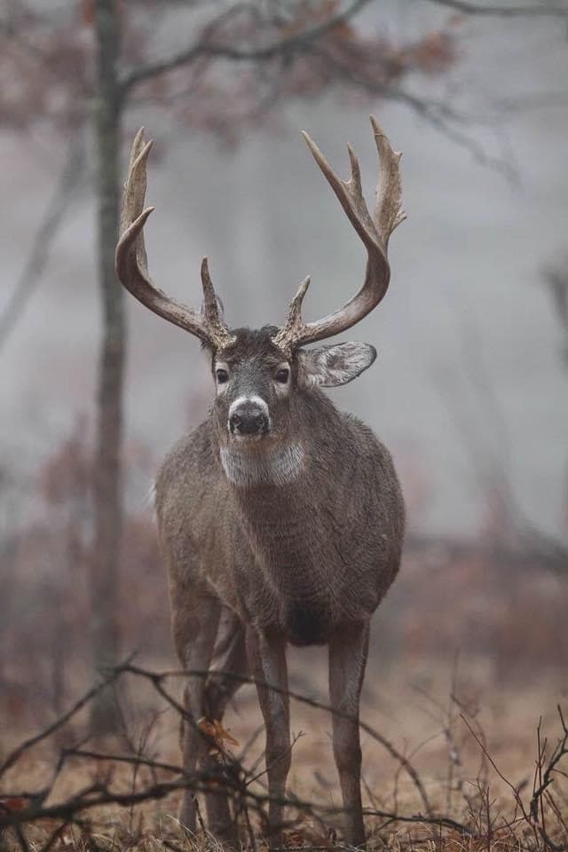 Soyez les premiers informés.