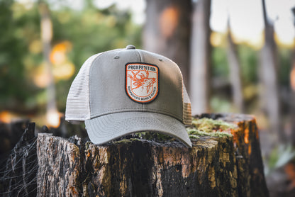 Casquette "Backwoods Born & Raised" - Surplus