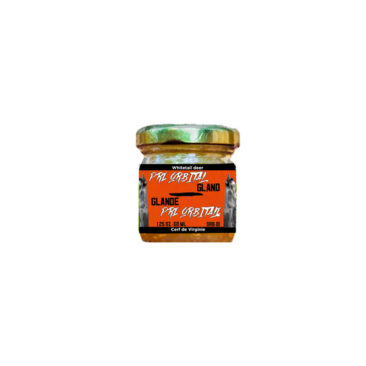 GLANDE PRÉ-ORBITALE