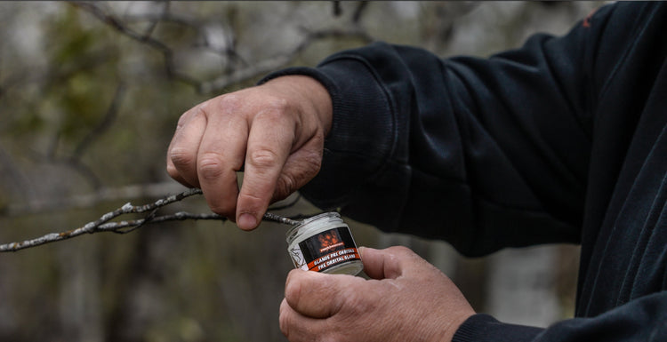 Préparer l'environnement