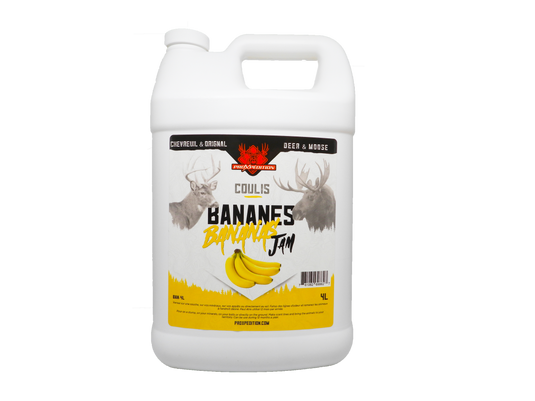 Coulis - Bananes