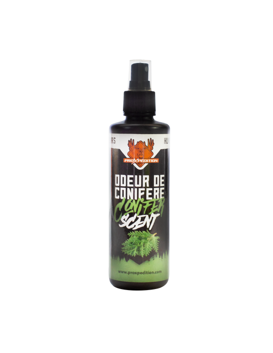 CACHE ODEUR - CONIFÈRE