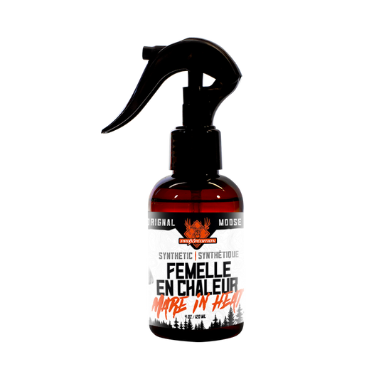 Leurre sexuel synthétique - Femelle en chaleur - Orignal