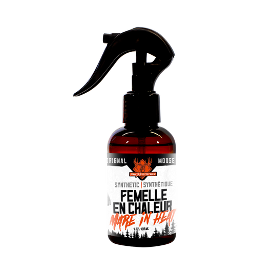Leurre sexuel synthétique - Femelle en chaleur - Orignal