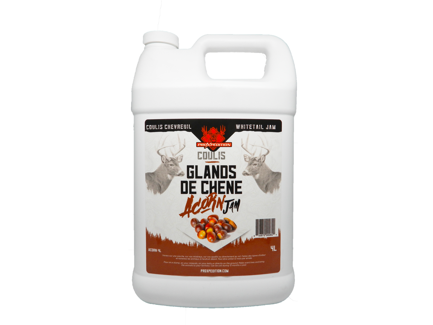 Coulis - Glands de chêne