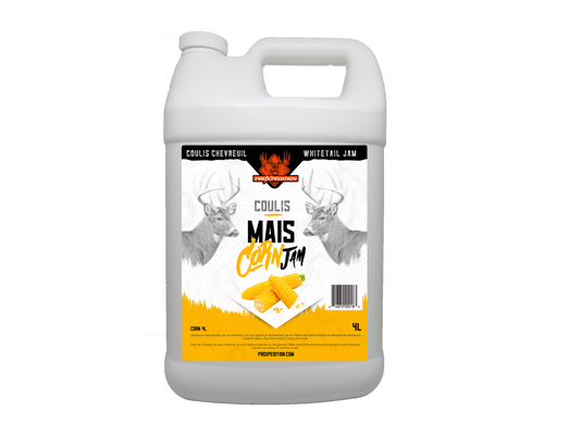 Coulis - Corn Jam