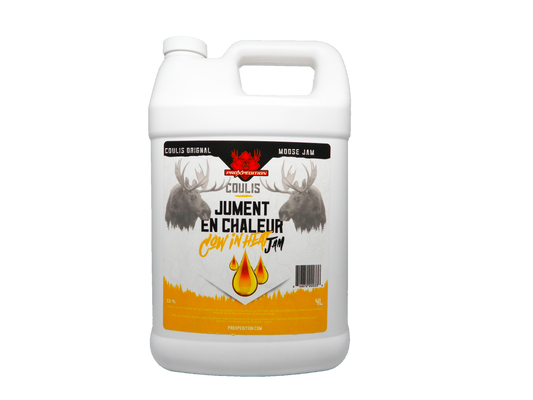 Coulis - Urine de jument