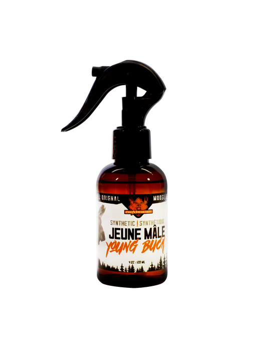 Leurre sexuel synthétique - Jeune mâle - Orignal