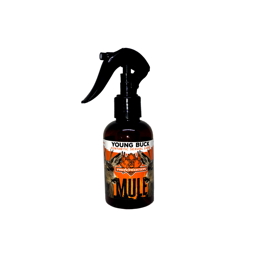 SEXUAL LURE - Young Mule Deer Buck